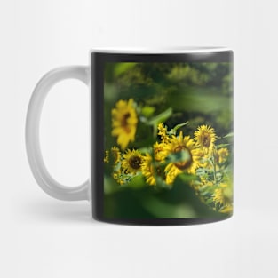 Sunflower Watching Mug